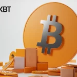PrimeXBT Insights: Is Bitcoin About to Overtake Gold? The Numbers May Surprise You