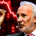 Bitcoin Bear Market Confirmed? Peter Schiff Highlights 20% Gold-Based Loss 