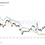 Bitcoin rally smashes past $116k on softer Fed bets: What changes next?