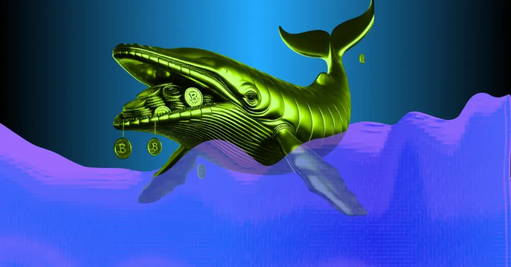 What Crypto Whales are Buying After Market Crash?