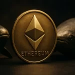 Ethereum Whales Slowly Returning to the ETH Market, Which Tokens Could See a 100x Run?