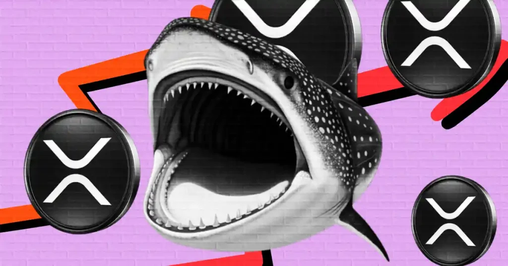 XRP Price Falls 7.5% as $72M Liquidations Hit, Whales Quietly Buying!