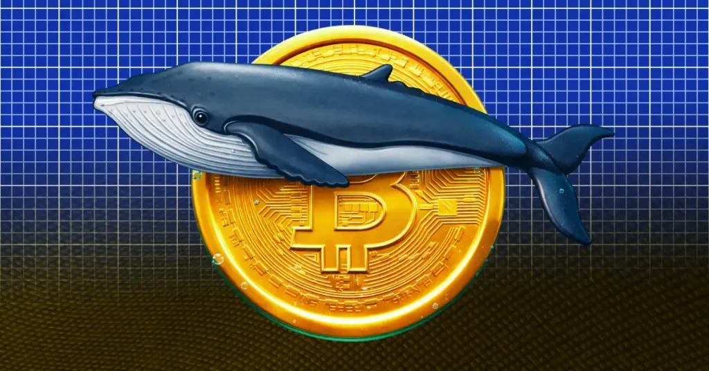 Satoshi Era Bitcoin Whale Wallet Buys 7000 BTC After 14 Years