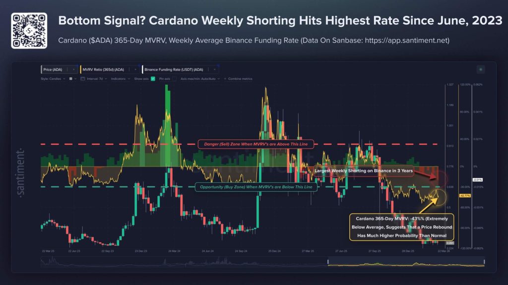 Cardano ADA shorts spike to highest since June 2023 as 71% crash meets Midnight launch this week risk