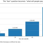 Bitcoin developer hides a 66KB image in a transaction to expose a governance blind spot vulnerable to spam