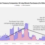 The $100 billion corporate Bitcoin surge is down to one buyer as other companies stop adding
