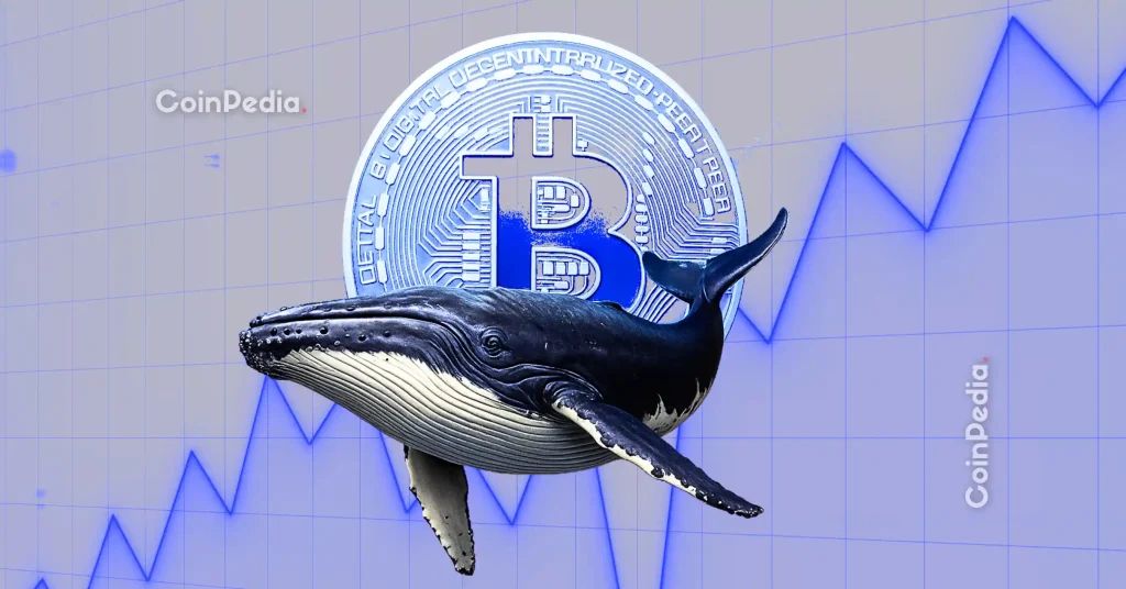 Bitcoin Whales Accumulate 270,000 BTC
